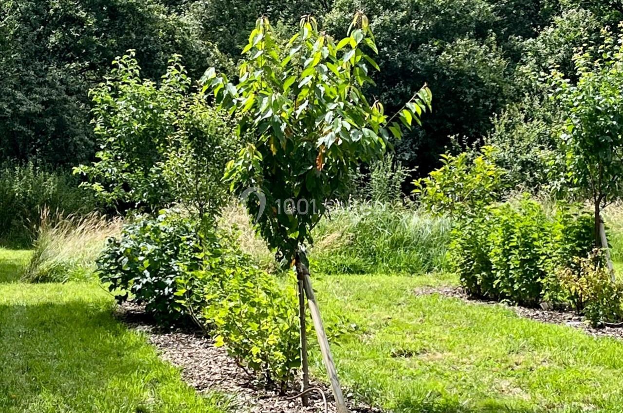 Location salle Lion-en-Sullias (Loiret) - Le Hameau du Perrat #49