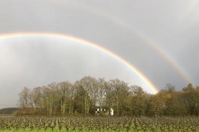 Double arc-en-ciel au-dessus d'un vignoble et d'une petite maison entourée d'arbres en automne.