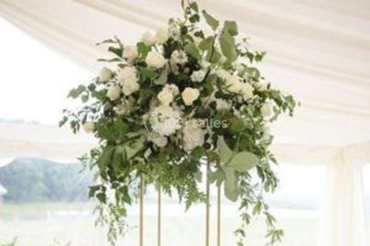 Photo Lnc Design #10