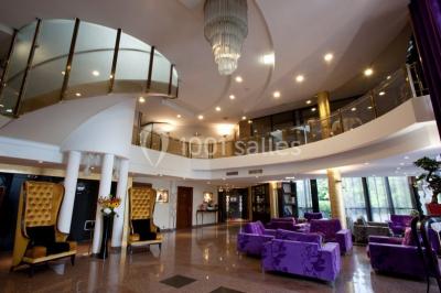 Location salle Toulouse (Haute-Garonne) - Hôtel Palladia #19