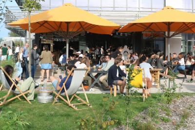 Une personne sert un plateau de dégustation avec trois verres de bière sur un comptoir de bar.