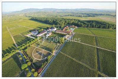 Château de Pizay Château de Pizay
