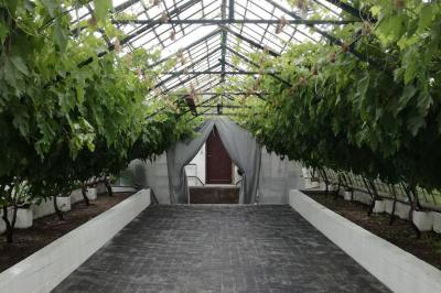 Chambre avec lit double, baignoire îlot, parquet, carrelage hexagonal et échelle porte-serviettes.