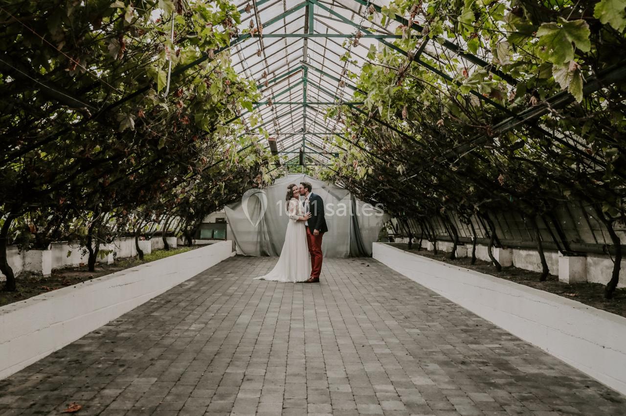 Un couple en tenue de mariage se tient au centre d'une serre entourée de vignes suspendues.
