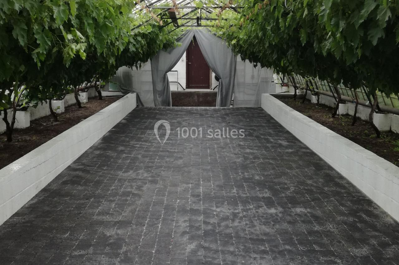 Allée centrale d'une serre avec des vignes suspendues et un sol en dalles noires, menant à une porte en bois.