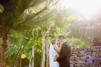 Location salle Toulon (Var) - Les Pins Penchés #24