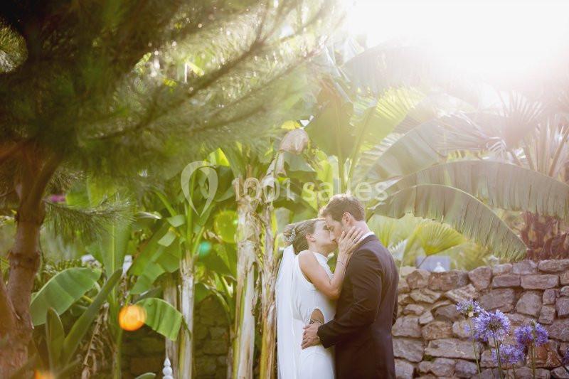 Location salle Toulon (Var) - Les Pins Penchés #8