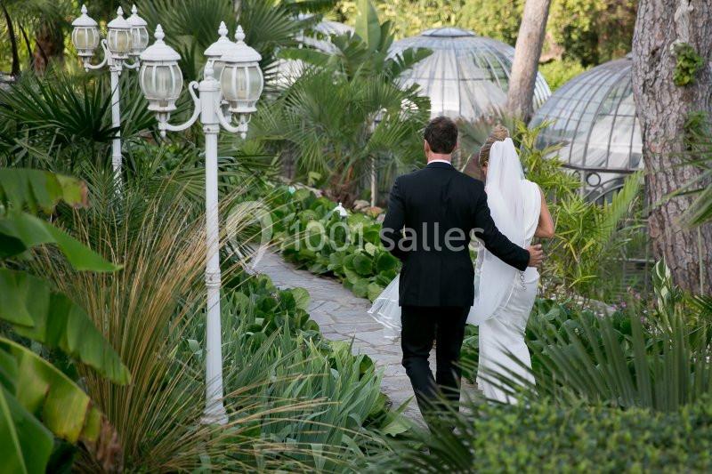 Location salle Toulon (Var) - Les Pins Penchés #9