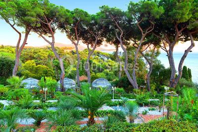 Location salle Toulon (Var) - Les Pins Penchés #24