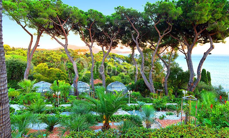 Location salle Toulon (Var) - Les Pins Penchés #6