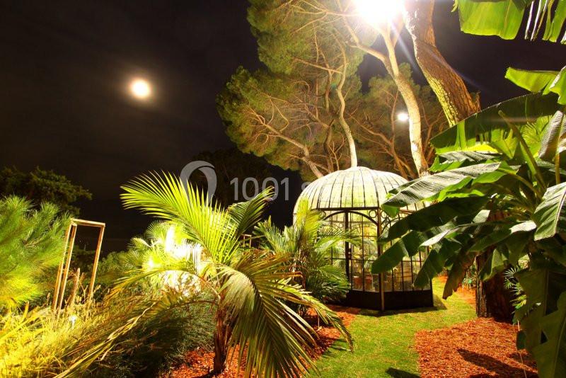 Location salle Toulon (Var) - Les Pins Penchés #12