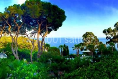 Location salle Toulon (Var) - Les Pins Penchés #24