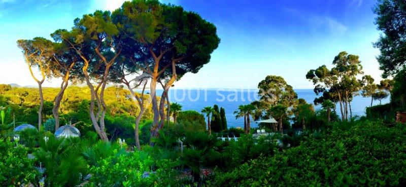 Location salle Toulon (Var) - Les Pins Penchés #13