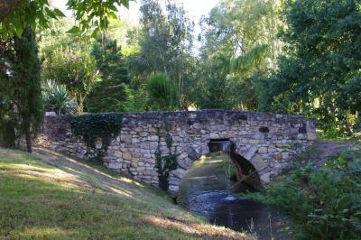 Tranches de saumon fumé garnies de rondelles de citron vert, brins d'aneth et baies roses.