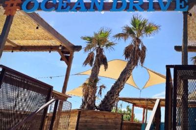 Assiette de dessert composée de crème glacée, purée orange, garnitures croquantes et feuilles de menthe.