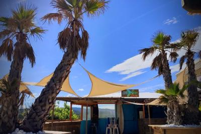 Assiette de dessert composée de crème glacée, purée orange, garnitures croquantes et feuilles de menthe.