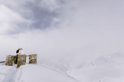 Un dessert composé d'un gâteau aux fruits rouges, accompagné de crème et de baies, présenté sur une terrasse en hiver.