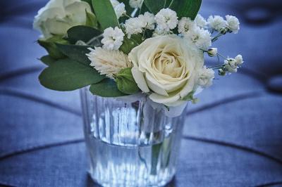 Un grand groupe de personnes souriantes levant les bras, rassemblées dans un parc pour une célébration.
