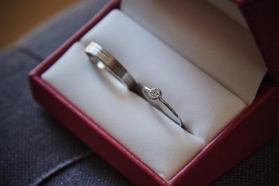 Un grand groupe de personnes souriantes levant les bras, rassemblées dans un parc pour une célébration.