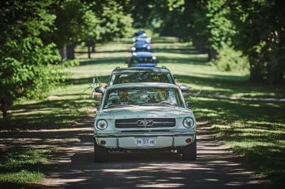 Un grand groupe de personnes souriantes levant les bras, rassemblées dans un parc pour une célébration.
