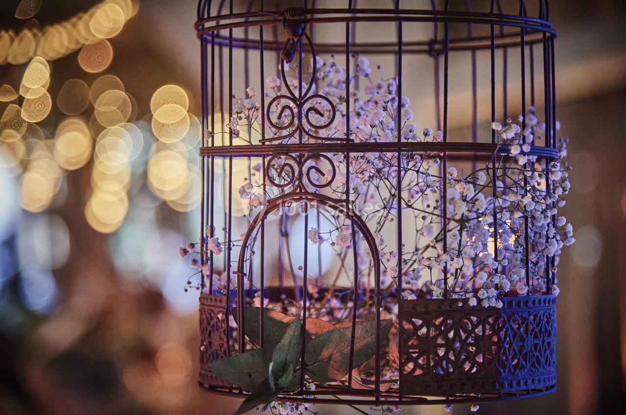 Cage décorative en métal avec des fleurs blanches à l'intérieur, suspendue dans un environnement éclairé et flou.
