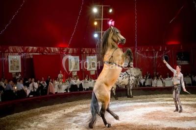 Location salle Néoules (Var) - Chapiteaux De Provence #22
