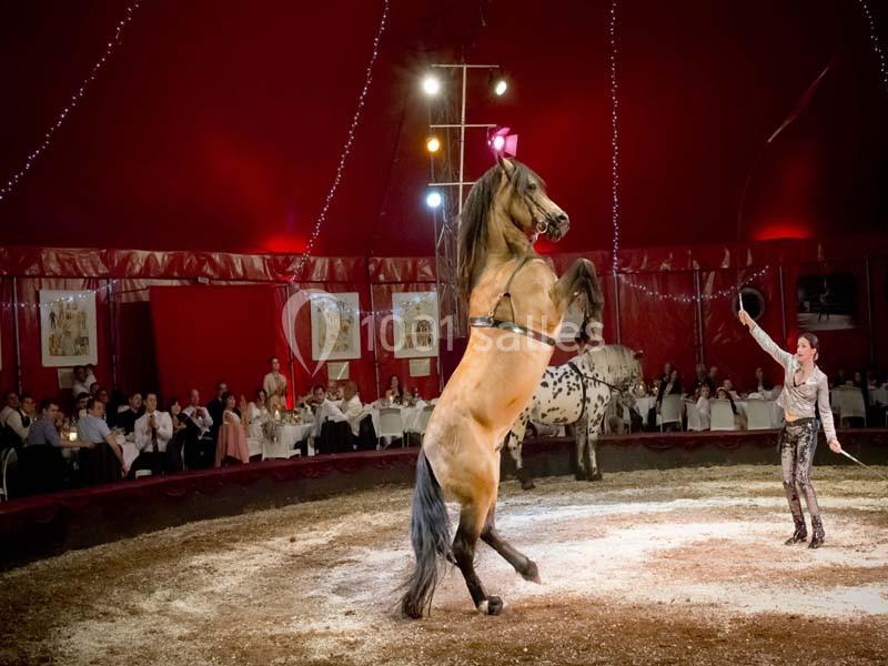 Location salle Néoules (Var) - Chapiteaux De Provence #8