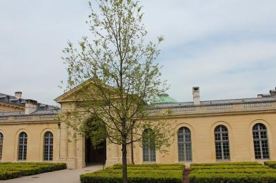 Location salle Versailles (Yvelines) - Centre d’Affaires Versailles Foch #27