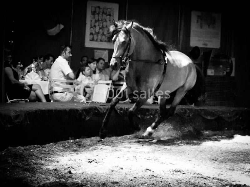 Location salle Néoules (Var) - Chapiteaux De Provence #22
