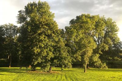 Location salle Mareuil-sur-Ourcq (Oise) - Commanderie de Moisy-Le-Temple #22