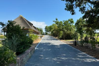 Chambre mansardée avec mur en briques, lit avec coussins, parquet clair et lumière naturelle provenant de deux fenêtres de…