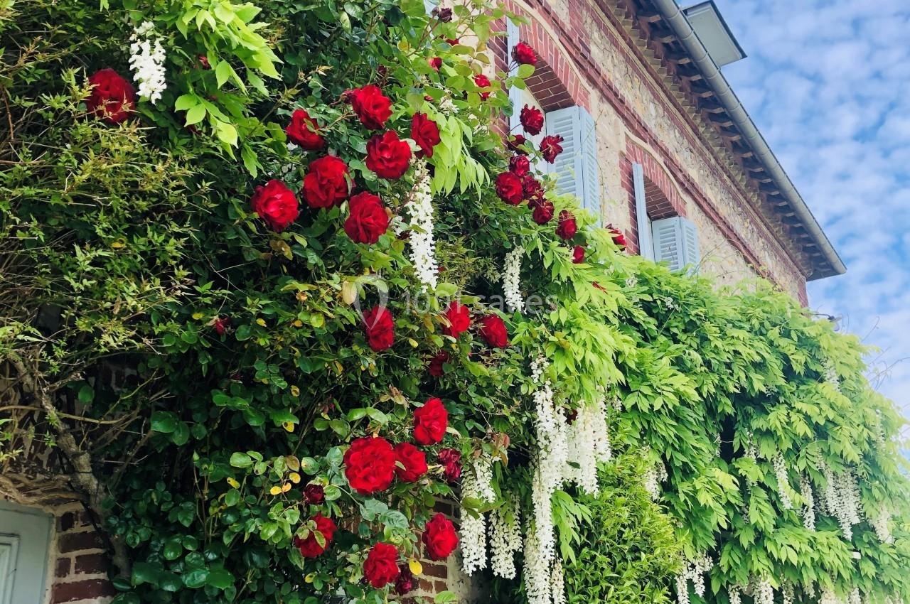 Façade en briques ornée de rosiers rouges et de glycines blanches sous un ciel bleu partiellement nuageux.