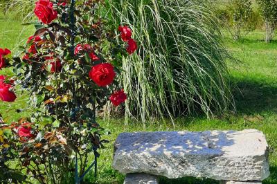 Location salle Dangeau (Eure-et-Loir) - Domaine de Mézières  #25