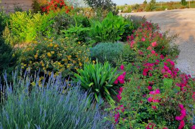 Location salle Dangeau (Eure-et-Loir) - Domaine de Mézières  #25