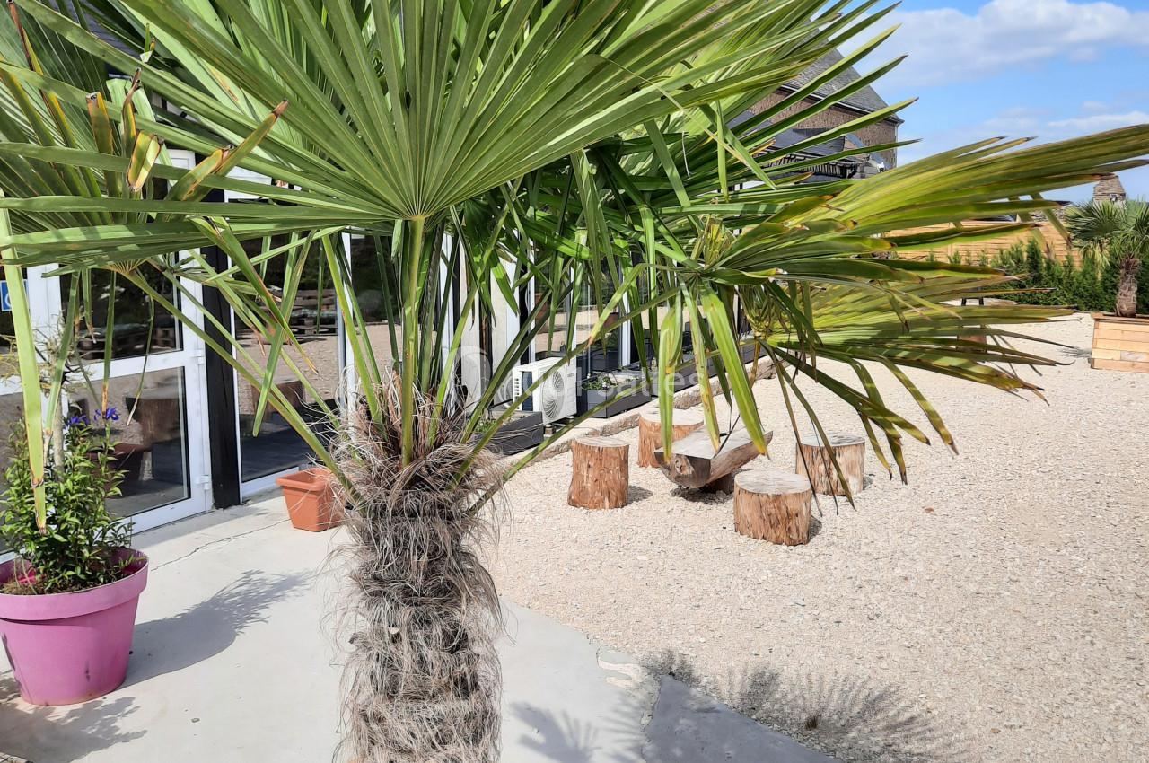 Location salle Dangeau (Eure-et-Loir) - Domaine de Mézières  #2