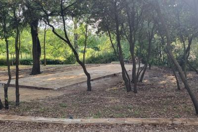 Terrain de pétanque en terre battue entouré d'arbres dans un espace naturel.