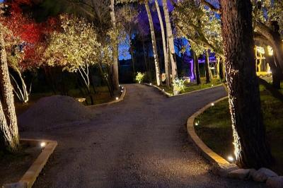 Terrain de pétanque en terre battue entouré d'arbres dans un espace naturel.