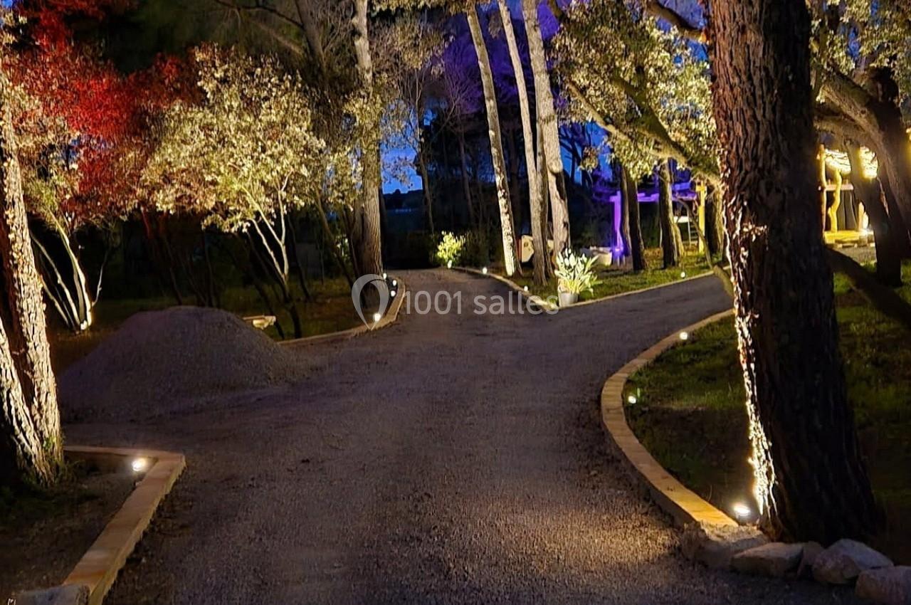 Allée gravillonnée éclairée par des lumières au sol, bordée d'arbres et de végétation, sous un ciel nocturne.
