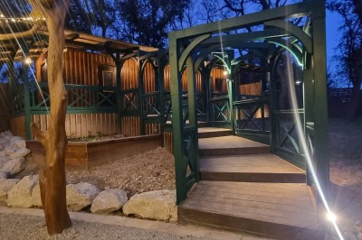 Terrain de pétanque en terre battue entouré d'arbres dans un espace naturel.