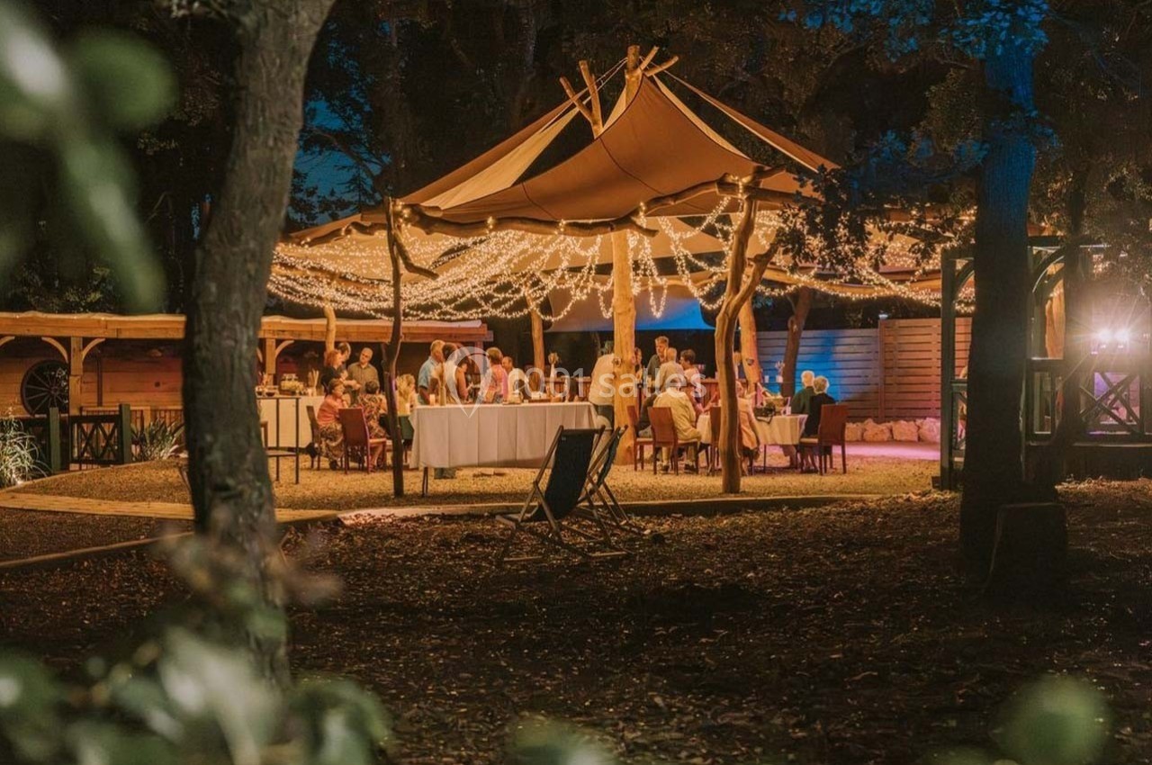Dîner en plein air sous une tente illuminée par des guirlandes lumineuses, entourée d'arbres et d'un décor naturel.