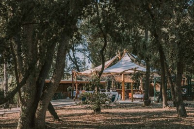 Terrain de pétanque en terre battue entouré d'arbres dans un espace naturel.