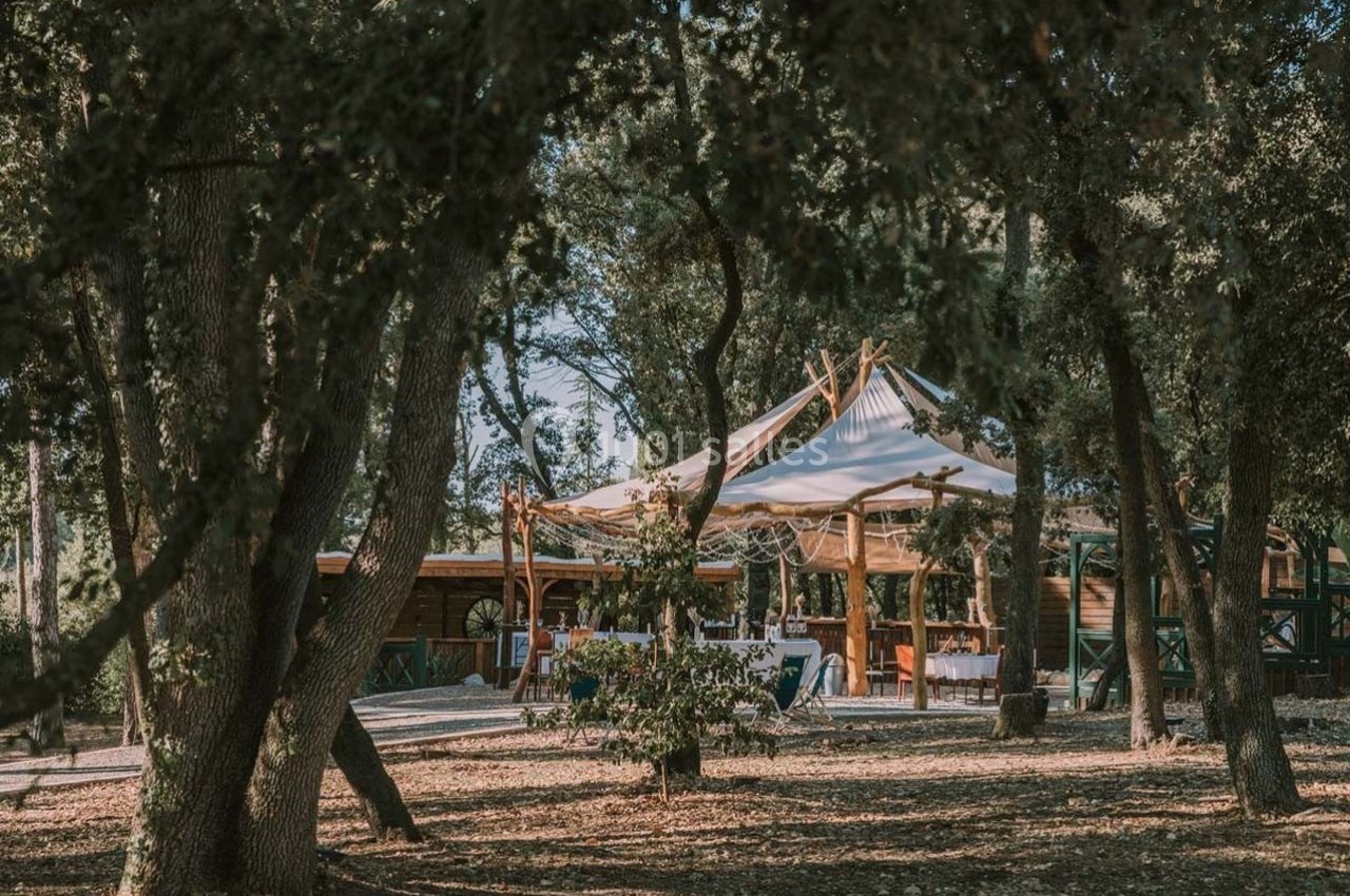 Structure en bois avec une toile tendue au milieu d'une forêt, entourée de tables dressées en plein air.