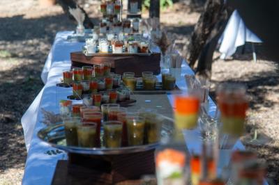 Terrain de pétanque en terre battue entouré d'arbres dans un espace naturel.