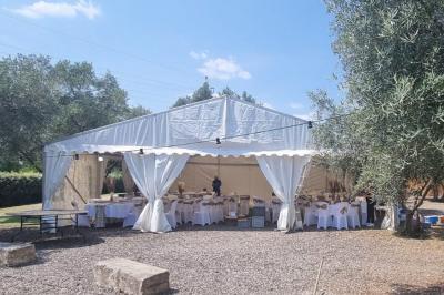 Terrain de pétanque en terre battue entouré d'arbres dans un espace naturel.