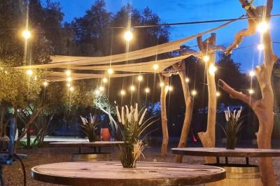 Terrain de pétanque en terre battue entouré d'arbres dans un espace naturel.