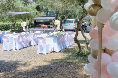 Terrain de pétanque en terre battue entouré d'arbres dans un espace naturel.