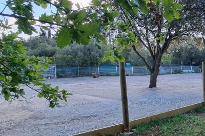 Terrain de pétanque en terre battue entouré d'arbres dans un espace naturel.