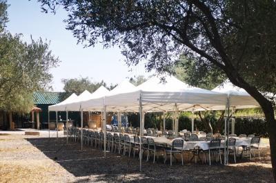 Terrain de pétanque en terre battue entouré d'arbres dans un espace naturel.