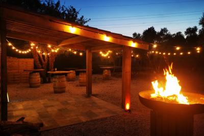 Terrain de pétanque en terre battue entouré d'arbres dans un espace naturel.