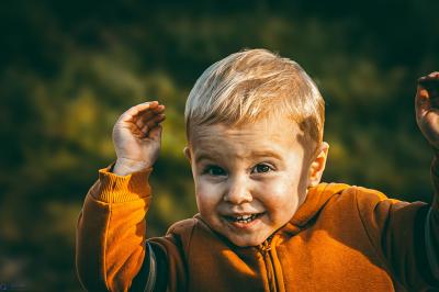 Clocher en pierre d'une église entouré de magnolias en fleurs sous un ciel bleu.